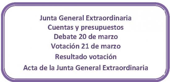 Junta-General-Extraordinaria_articleimage